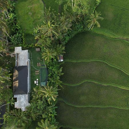 Hatiku Di Bali - Ubud Tegallalang  Exterior foto