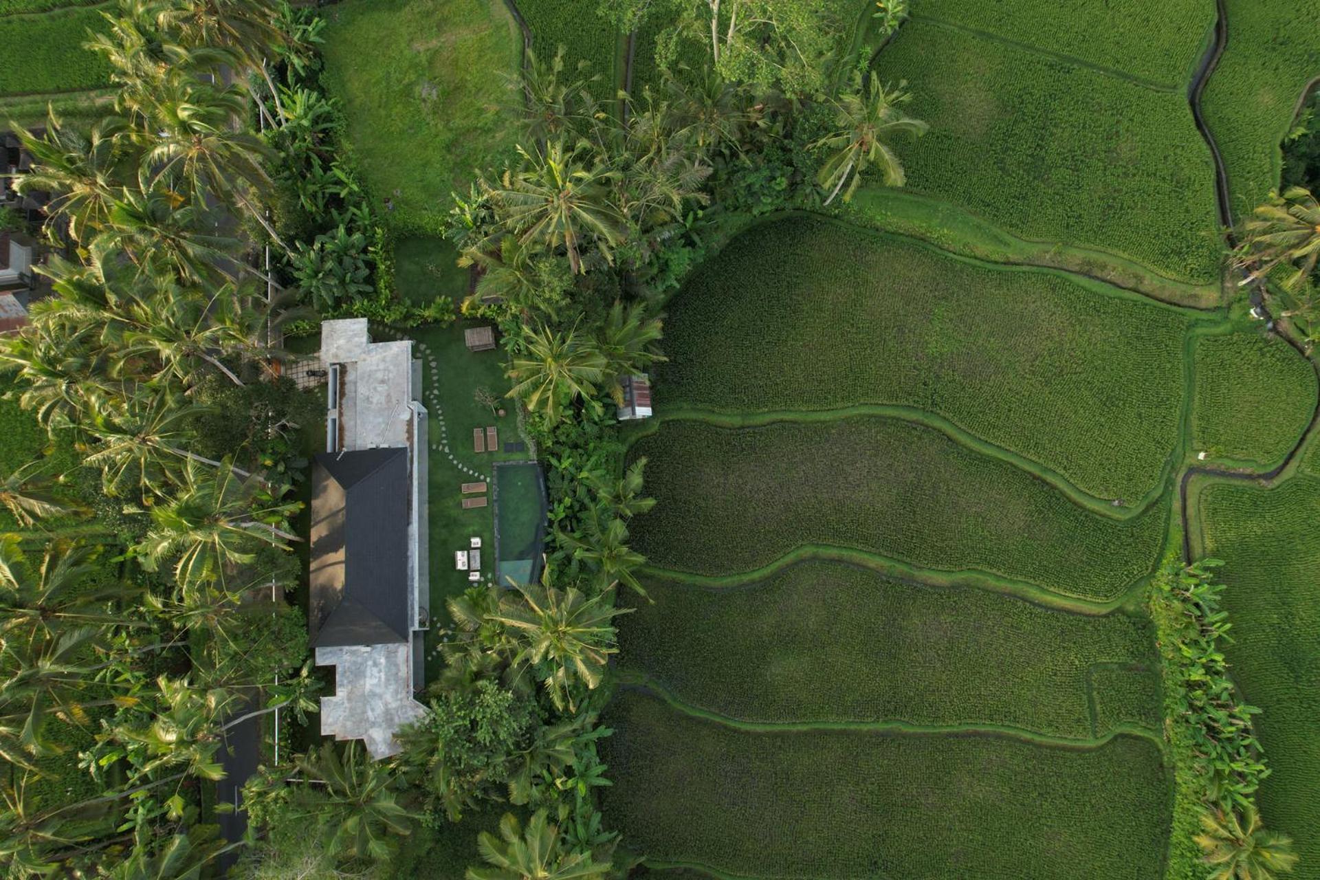 Hatiku Di Bali - Ubud Tegallalang  Exterior foto